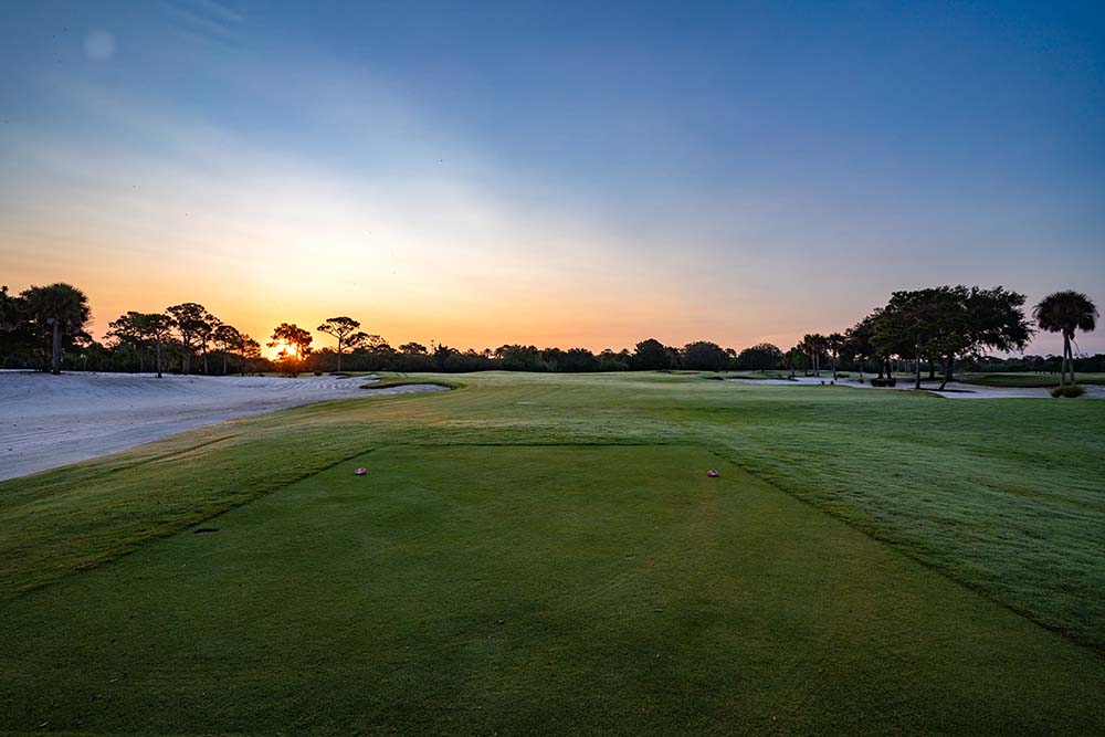 golf-gallery-1